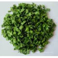 Good Quality Dehydrated Shallot Chive Rings